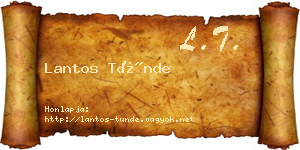 Lantos Tünde névjegykártya